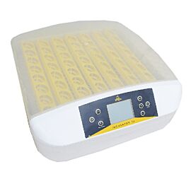 Інкубатор PULSE AUTOMATICS HHD-56